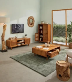 Meuble TV teck massif CARAWA 2 portes